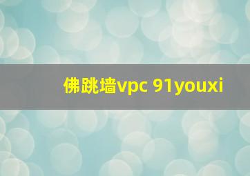 佛跳墙vpc 91youxi